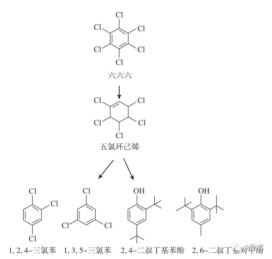 1662341712424002.jpg 3.jpg