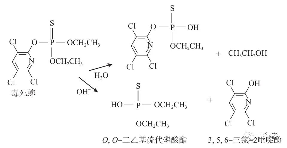 1662341723111677.jpg 4.jpg