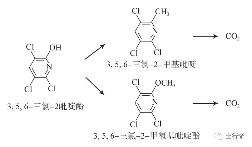 1662341735106517.jpg 5.jpg