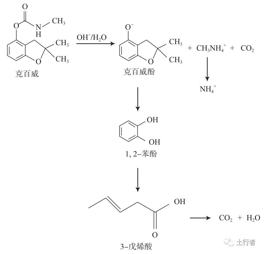 1662341746572755.jpg 6.jpg