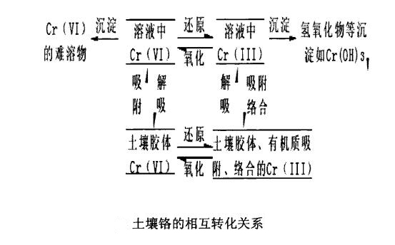 土壤中鉻污染的相互轉(zhuǎn)化 土壤中鉻污染的相互轉(zhuǎn)化